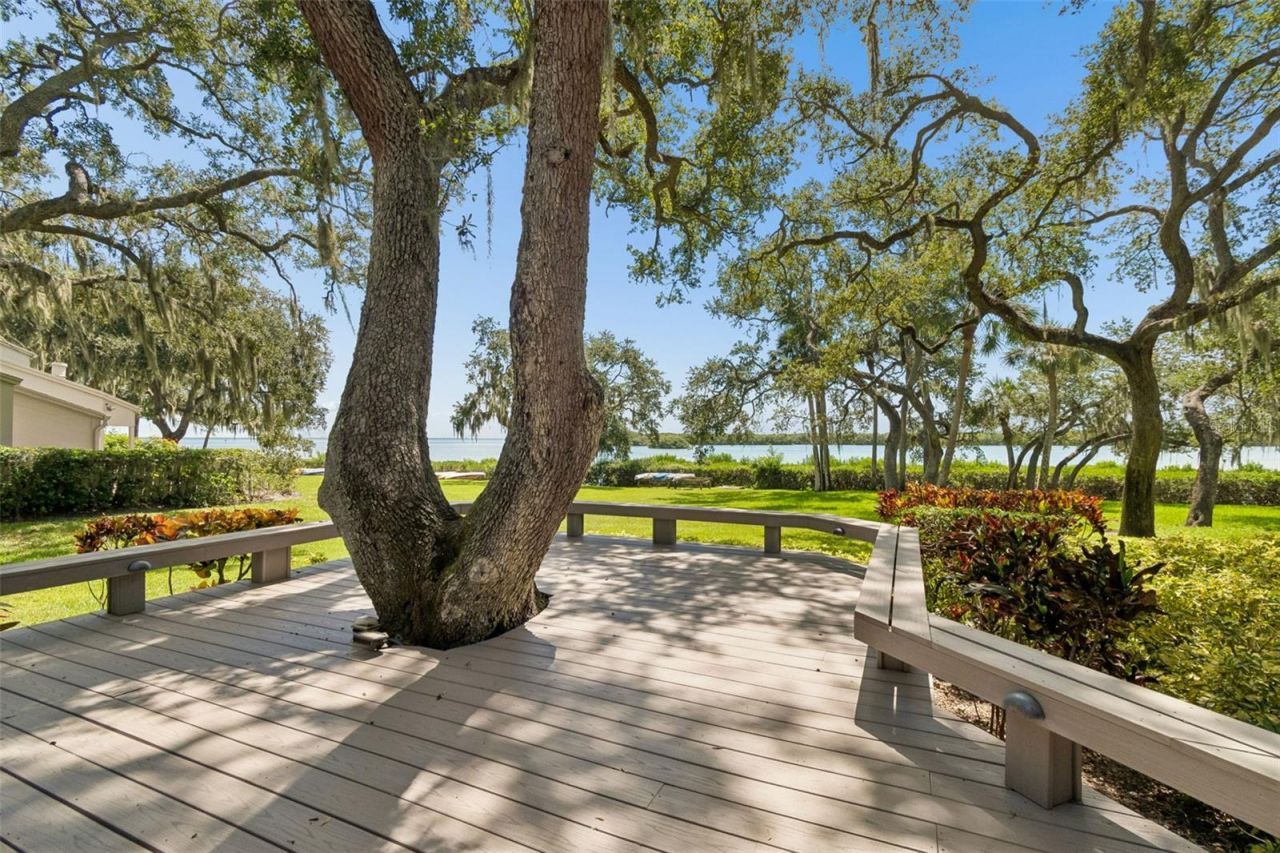 1111 N Bayshore Boulevard, Unit A15, Clearwater, FL 33759 Photo