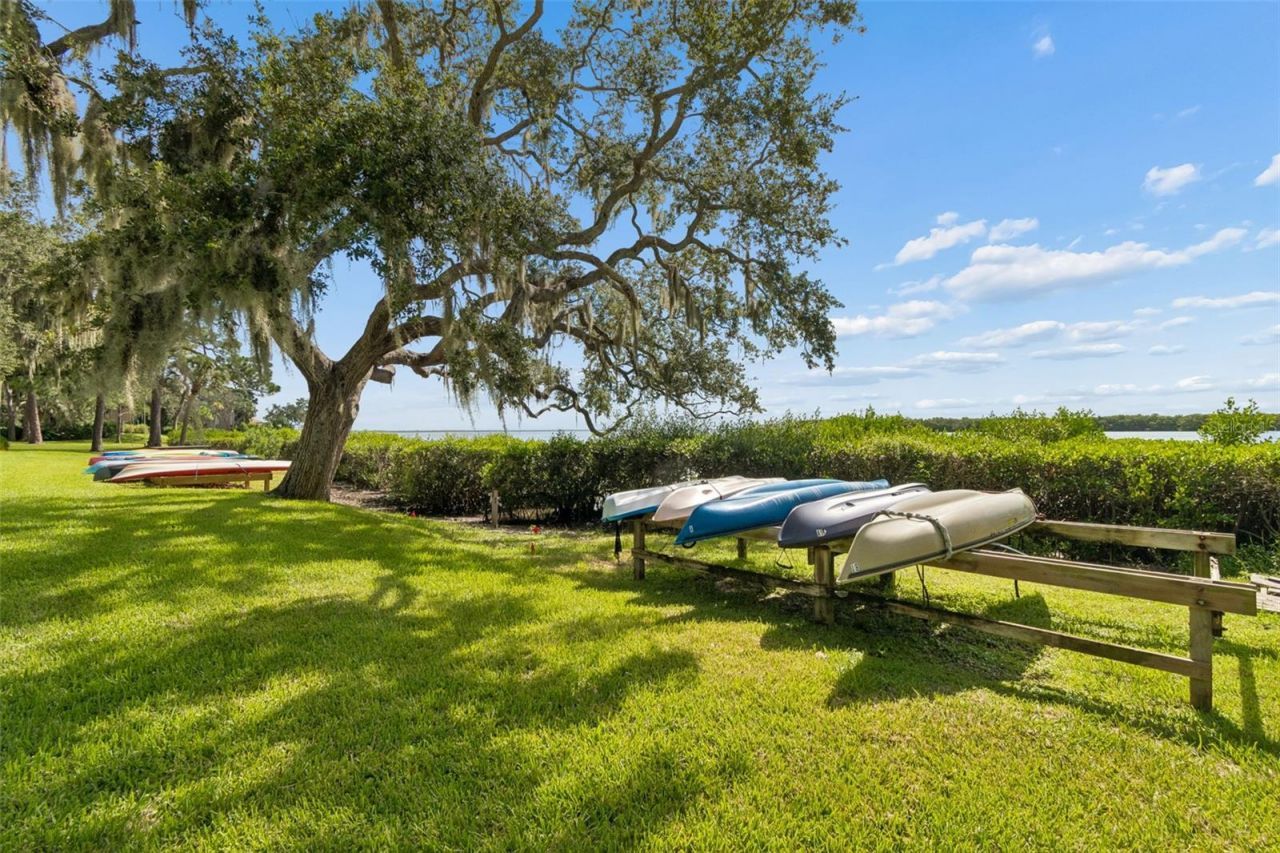 1111 N Bayshore Boulevard, Unit A15, Clearwater, FL 33759 Photo