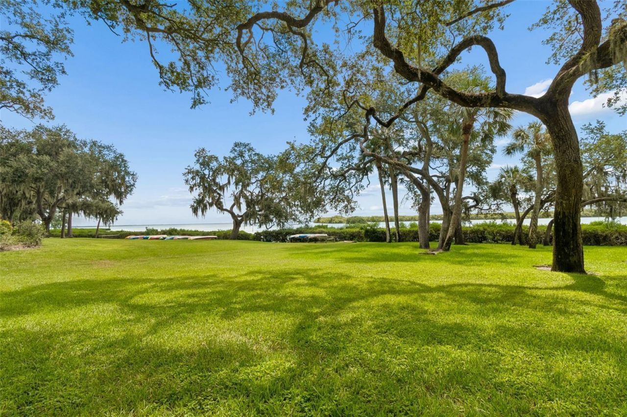 1111 N Bayshore Boulevard, Unit A15, Clearwater, FL 33759 Photo