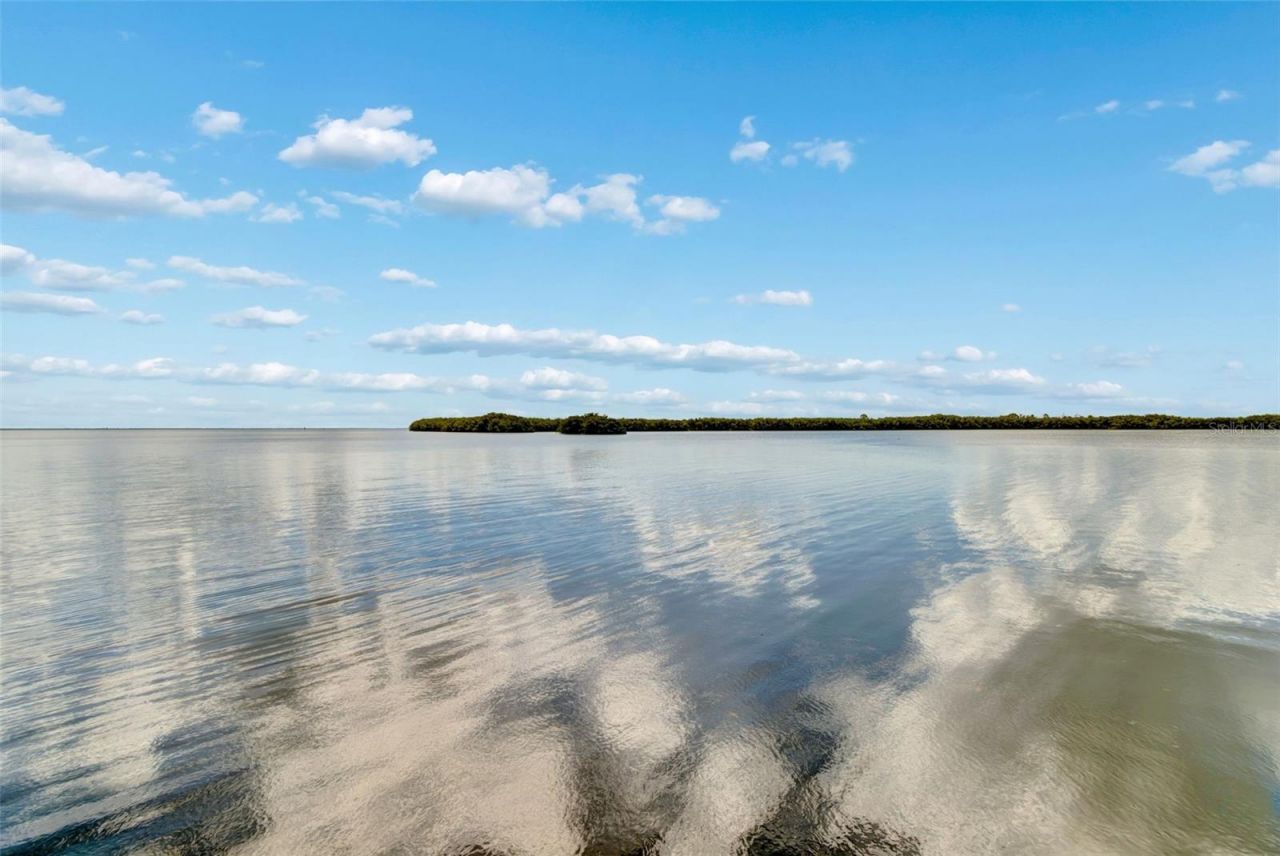 1111 N Bayshore Boulevard, Unit A15, Clearwater, FL 33759 Photo
