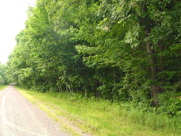 80 Acres on Bailey Road, Bruce, WI 54819