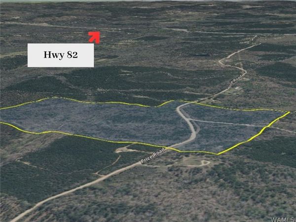 0 Price Road, Reform, AL 35481