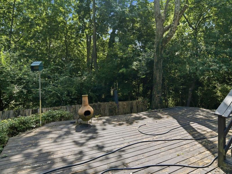 1050 nimitz Lane, Anderson Township, OH 45230 Photo 41