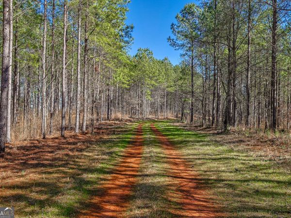 T1-2 Old Zebulon Road, Forsyth, GA 31029