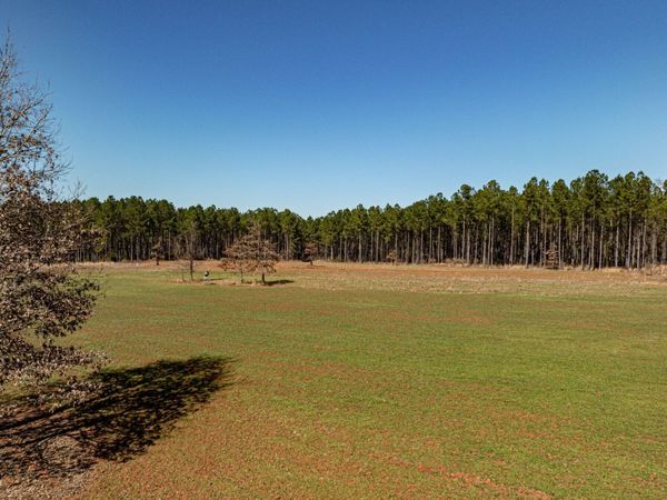 T1 Old Zebulon Road, Forsyth, GA 31029