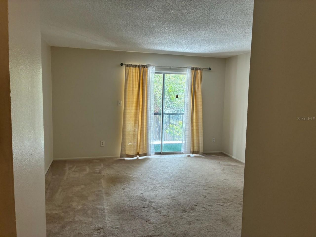 1124 85th Terrace N, Unit D, Saint Petersburg, FL 33702 Photo