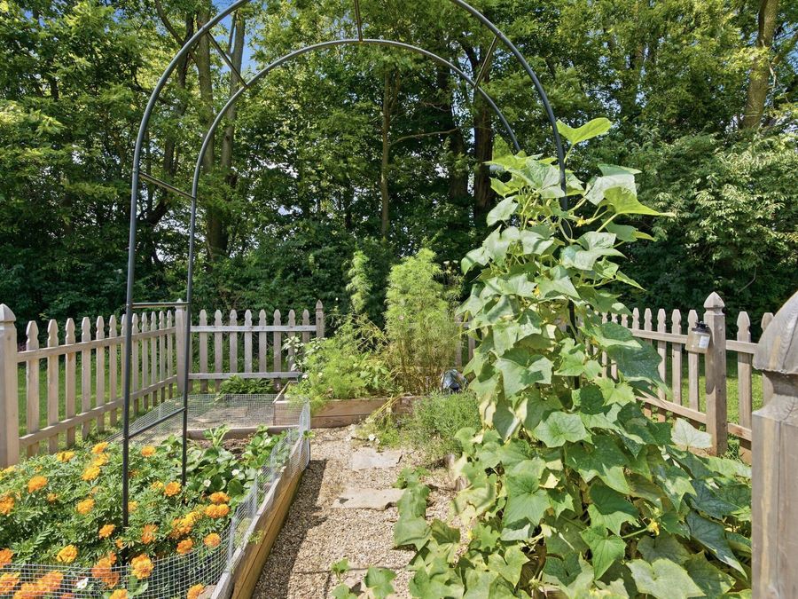 Property Image 39