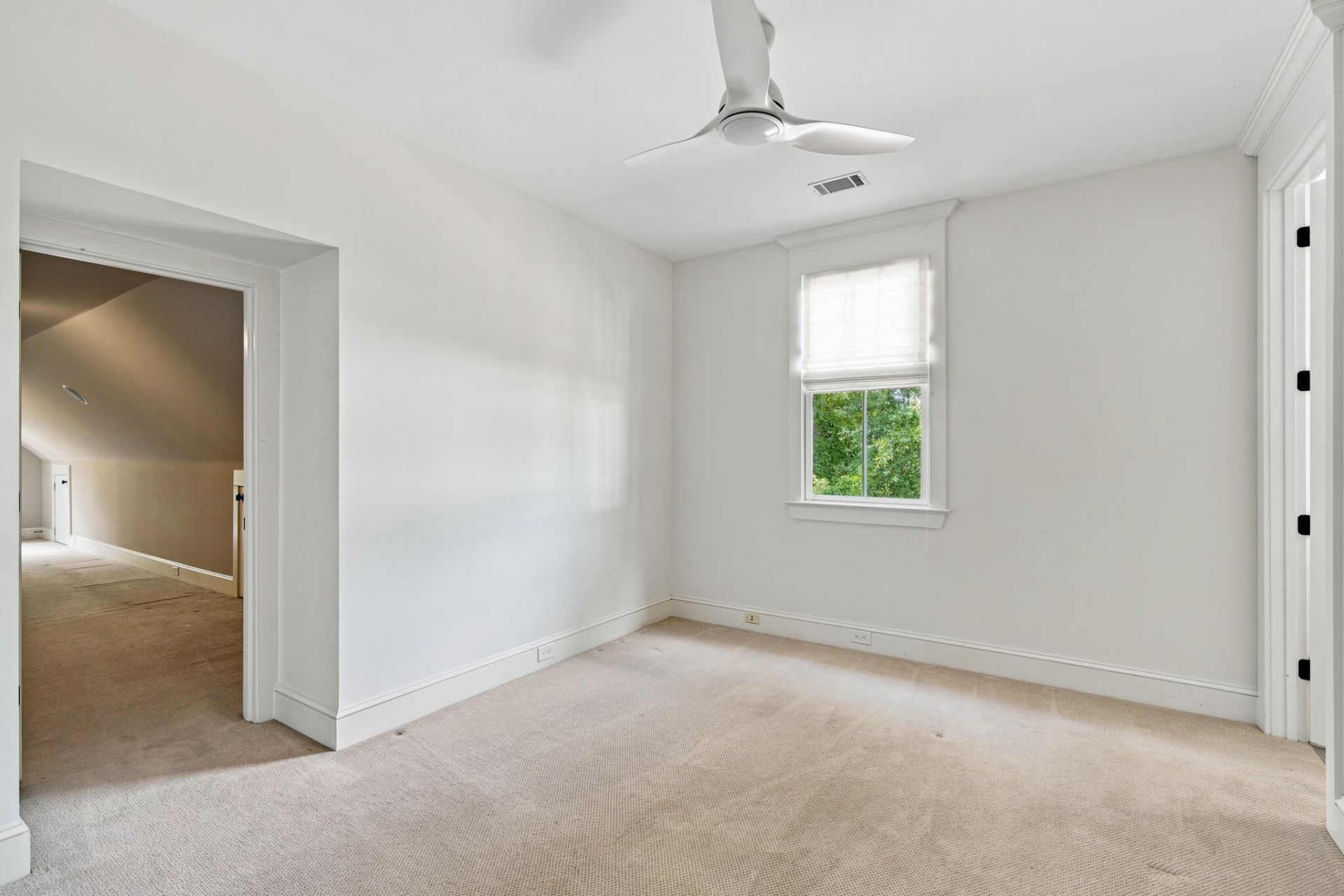 55 Montrose Road Photo 30
