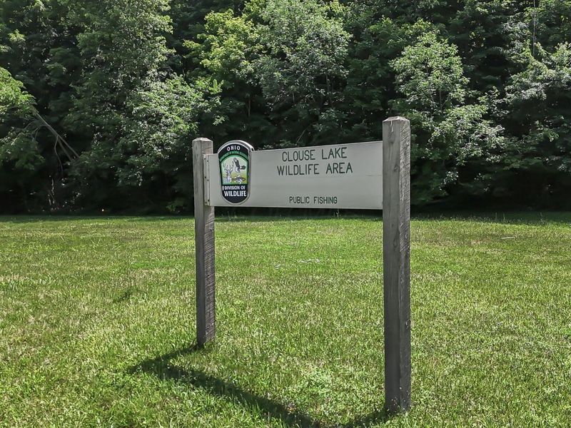 7416 Township Rd 58, Somerset, OH 43783 Photo 24