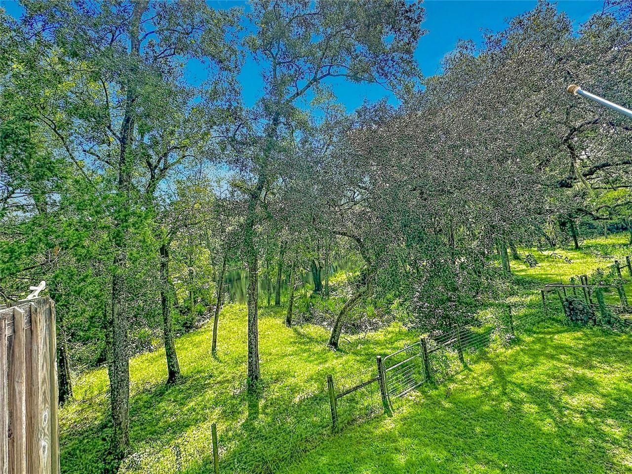16392 198th Trace, O Brien, FL 32071 Photo