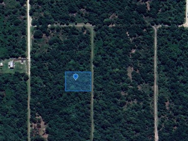 2844 W TWILLEY , Avon Park, FL 33825
