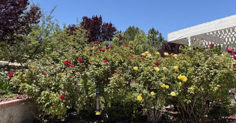 5930 Roxbury Court, Reno, NV 89523 Photo