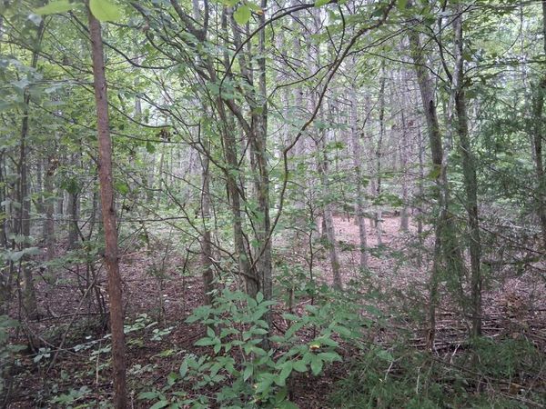 125 Zuni Way, Del Rio, TN 37727