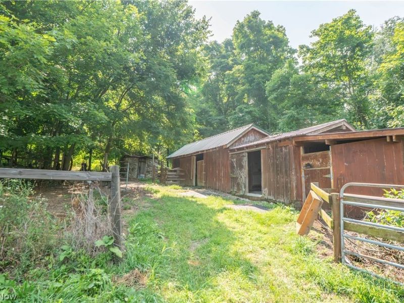 767 E West Salem Road, Creston, OH 44217 Photo 34
