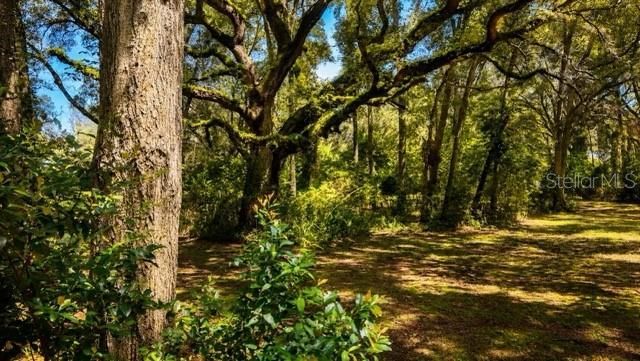 16525 SW 5th Place, Newberry, FL 32669 Photo