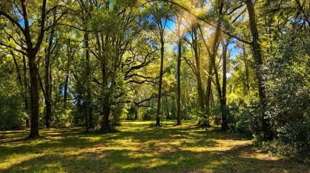 16525 SW 5th Place, Newberry, FL 32669 Photo