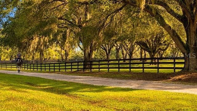 16525 SW 5th Place, Newberry, FL 32669 Photo