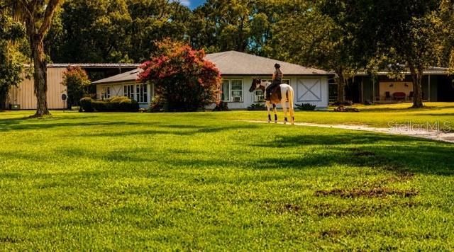 16525 SW 5th Place, Newberry, FL 32669 Photo