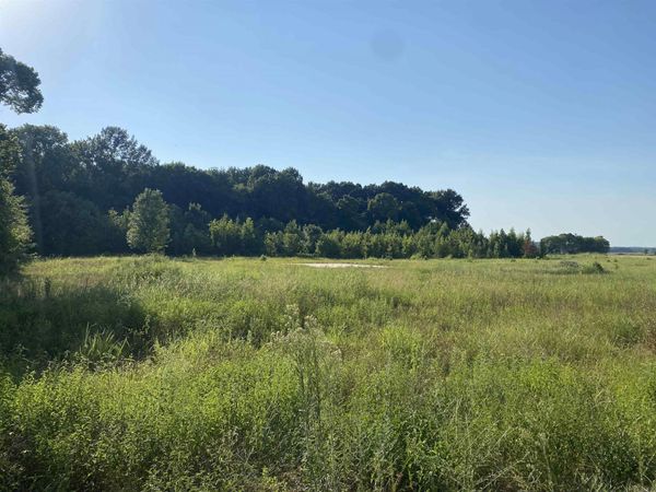 13 McGuiness Road , Trumann, AR 72472
