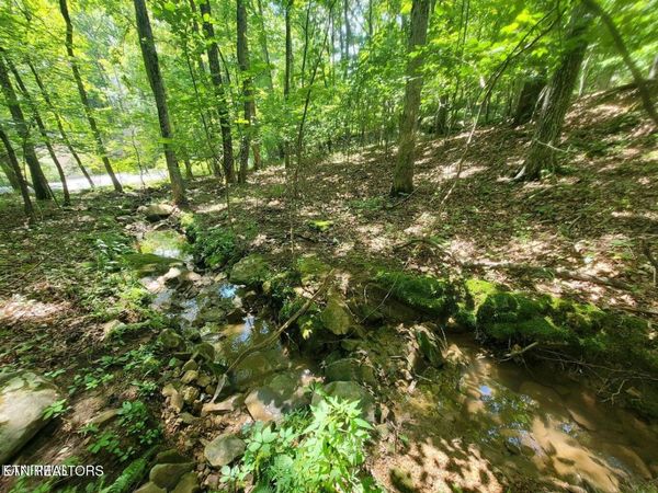 159 Sugarbush Circle, Crossville, TN 38558