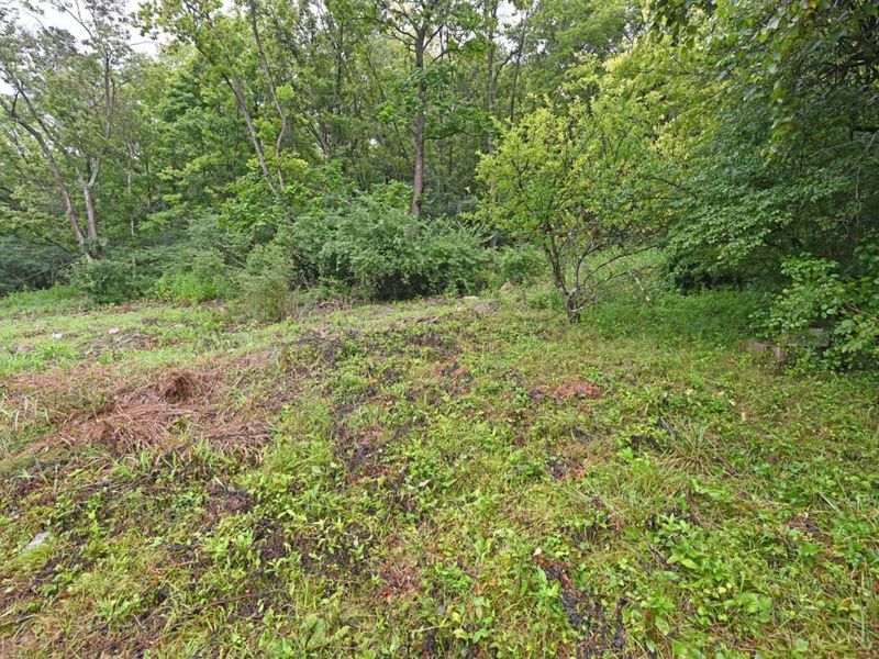 6984 Old Kellogg Road, Anderson Township, OH 45230 Photo 4