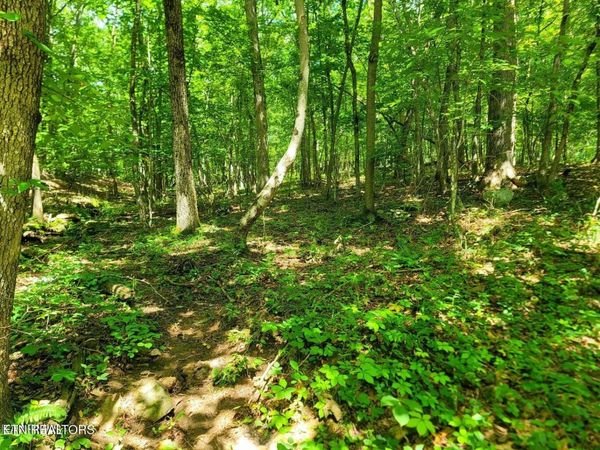 161 Sugarbush Circle , Unit 350, Crossville, TN 38558