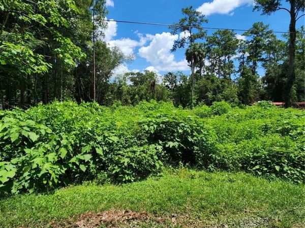 5221 SE 25TH AVENUE , OCALA, FL 34480