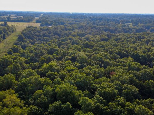 000 N Farm Rd 69 , Walnut Grove, MO 65770