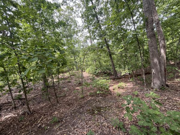 1 Partridge Drive , Climax Springs, MO 65324