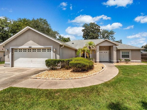 10217 SPRING MOSS AVENUE , CLERMONT, FL 34711