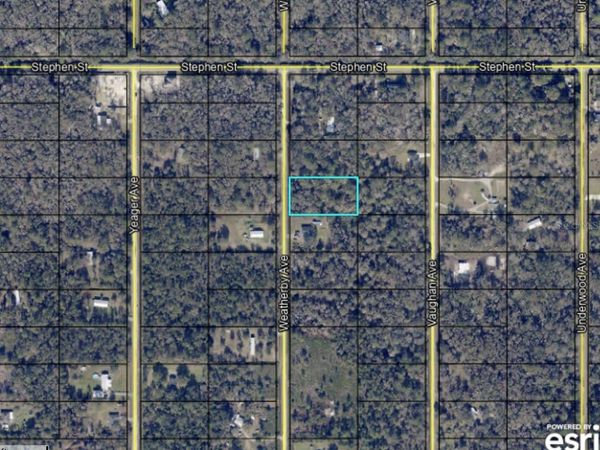 10230 WEATHERBY AVENUE , HASTINGS, FL 32145