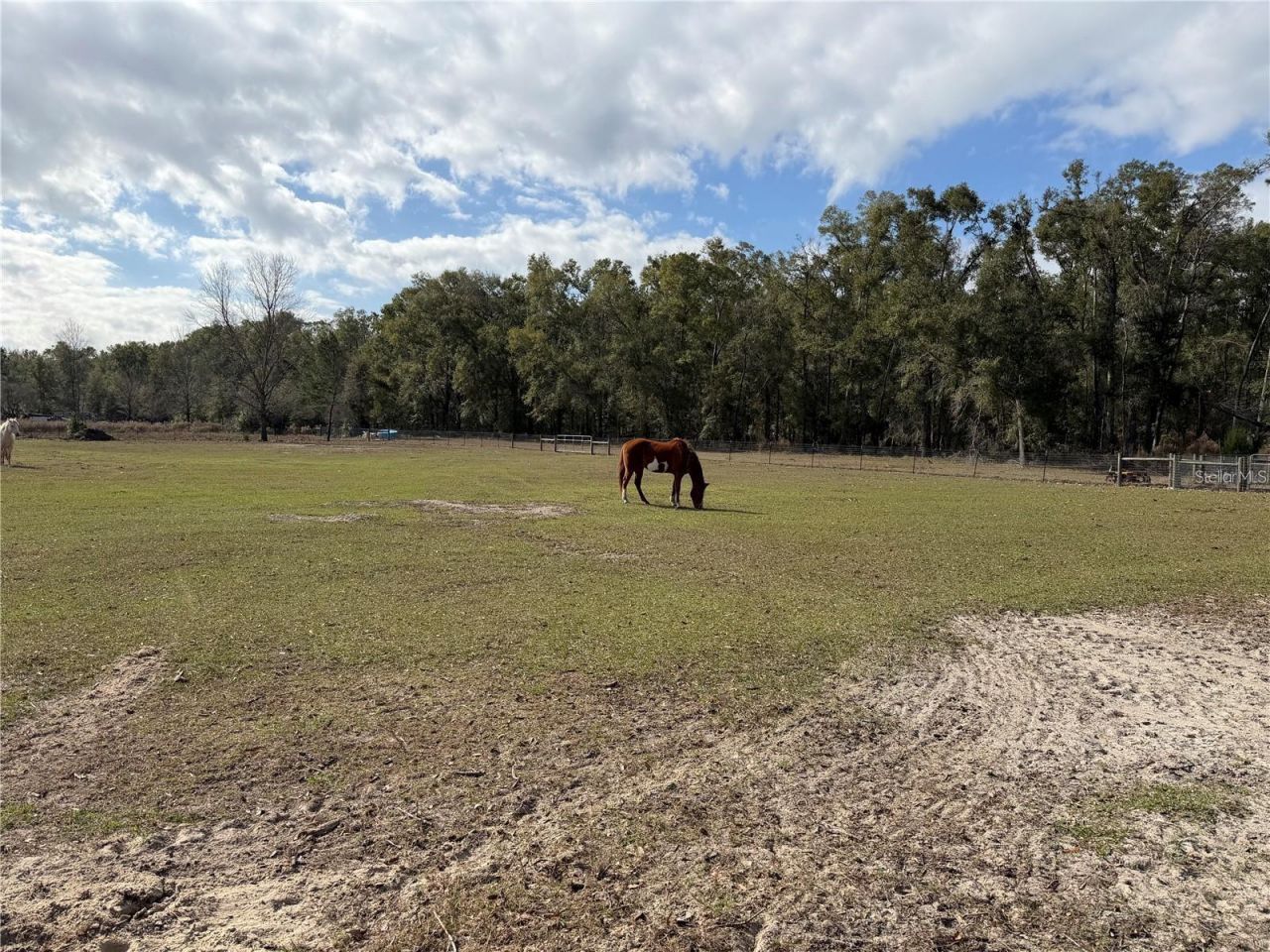 00 SW Cowpoke Court , Fort White, FL 32038 Photo