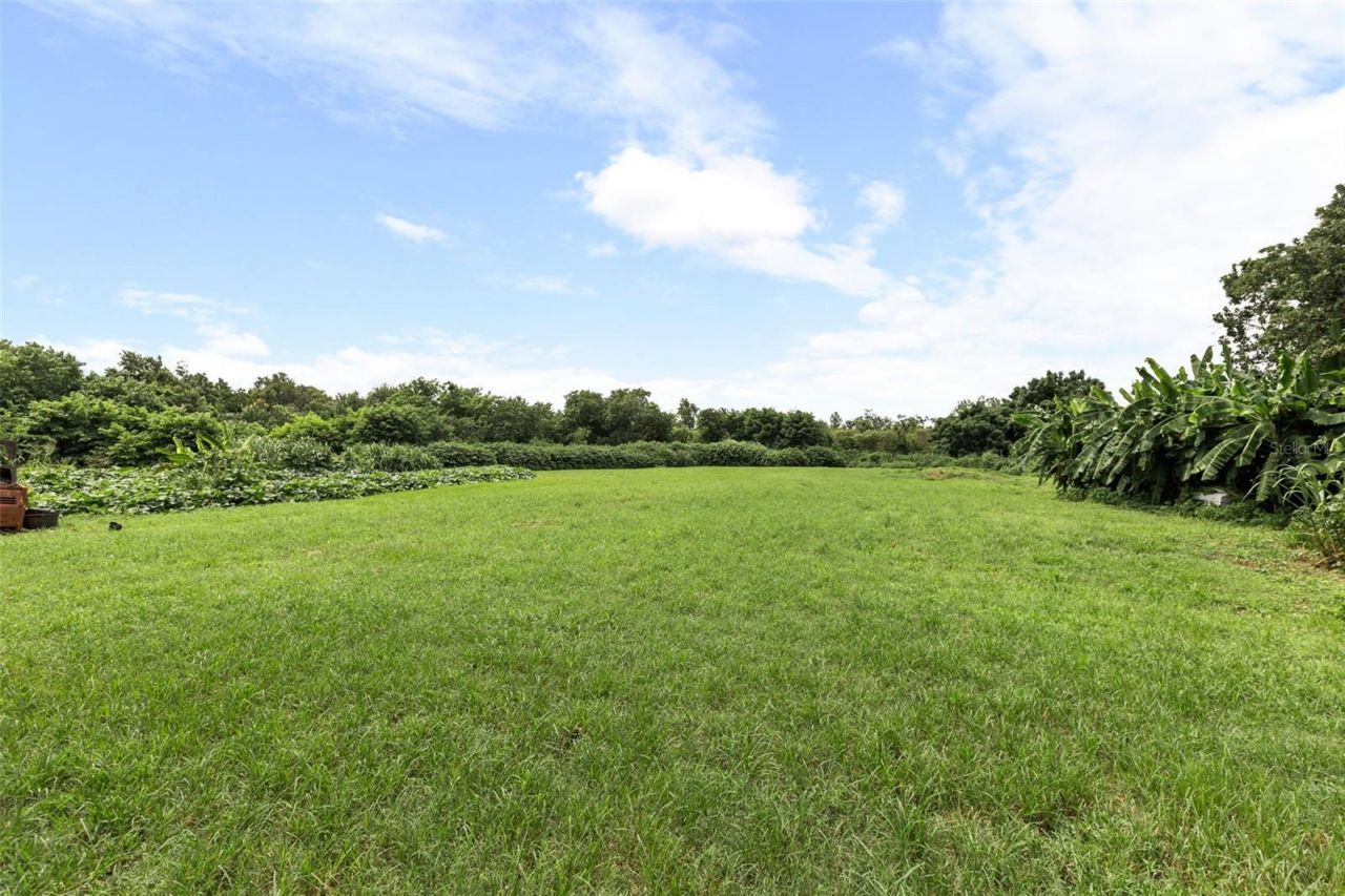 250 Longwood Hills Road , Longwood, FL 32750 Photo