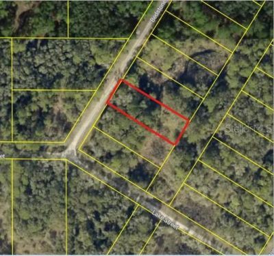 0 Bedstone Drive, Webster, FL 33597 Photo