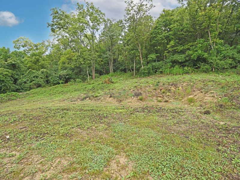 6978 Kellogg Avenue, Anderson Township, OH 45230 Photo 7