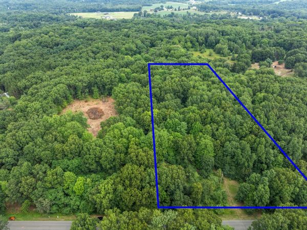 13271 NE Beckwith Drive Drive NE, Lowell, MI 49331