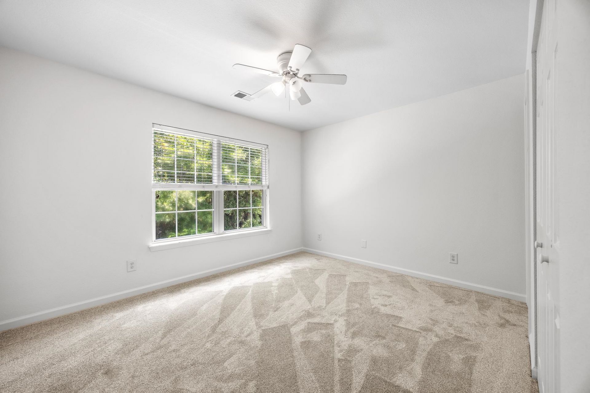 721 Painted Bunting Dr. Photo 36
