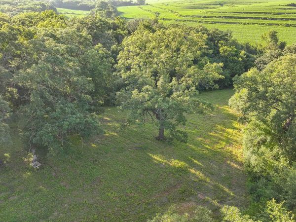 Lot 5 SE 32nd Avenue, Runnells, IA 50237