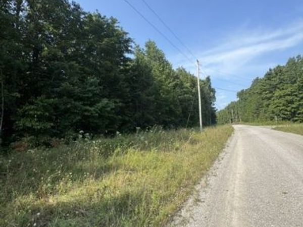 0 Parkstown Rd , Wilder, TN 38589
