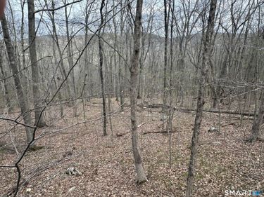 40 Frenchmans , New Milford, CT 06776