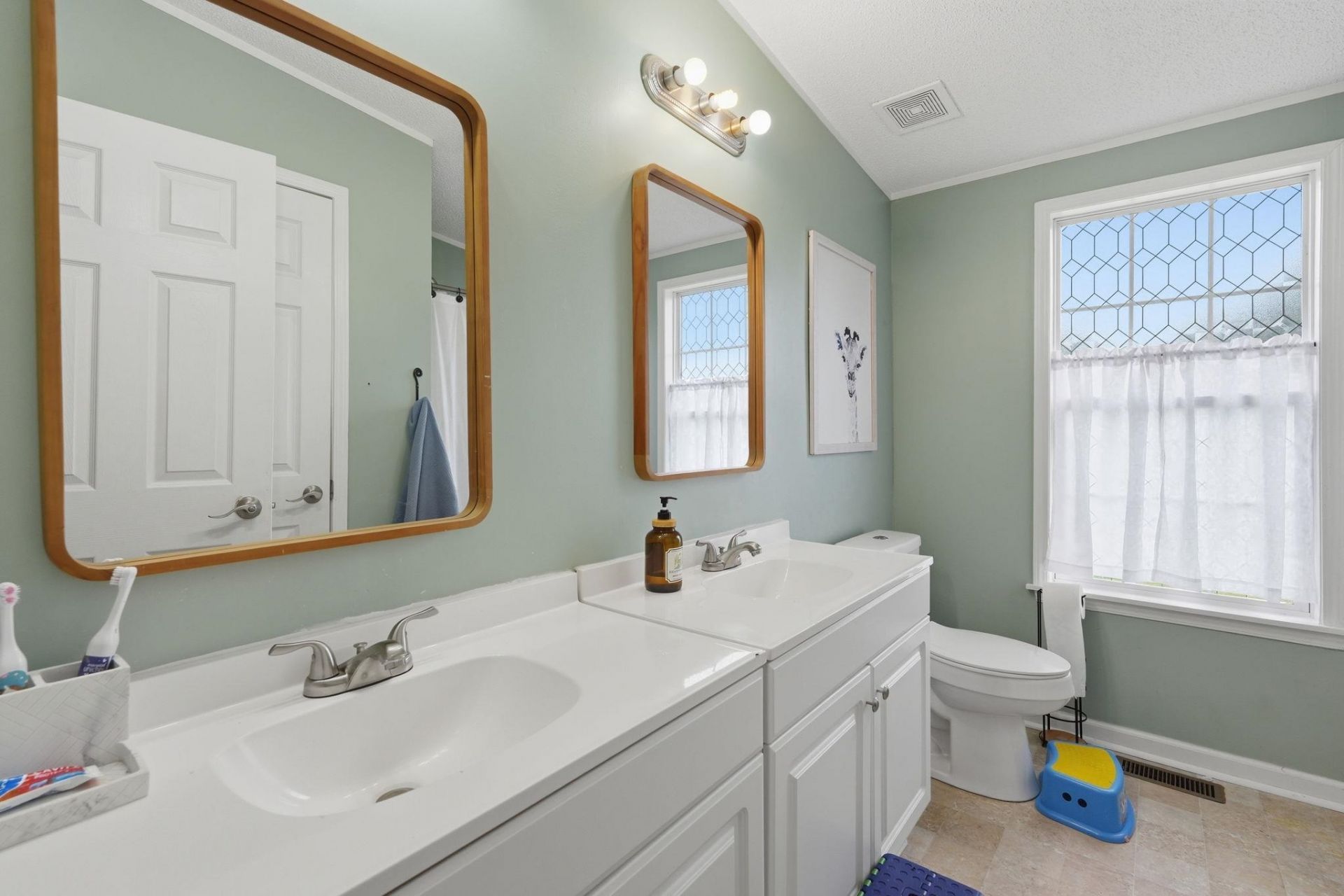 718 Libbys Ln. Photo 30