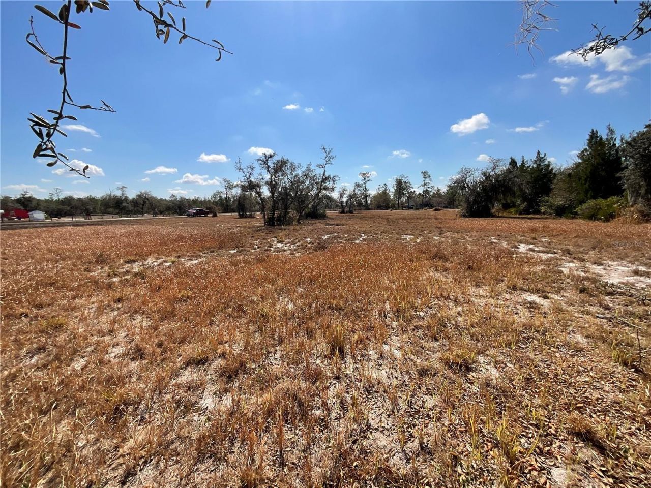 490 Hobbs Drive , Venus, FL 33960 Photo