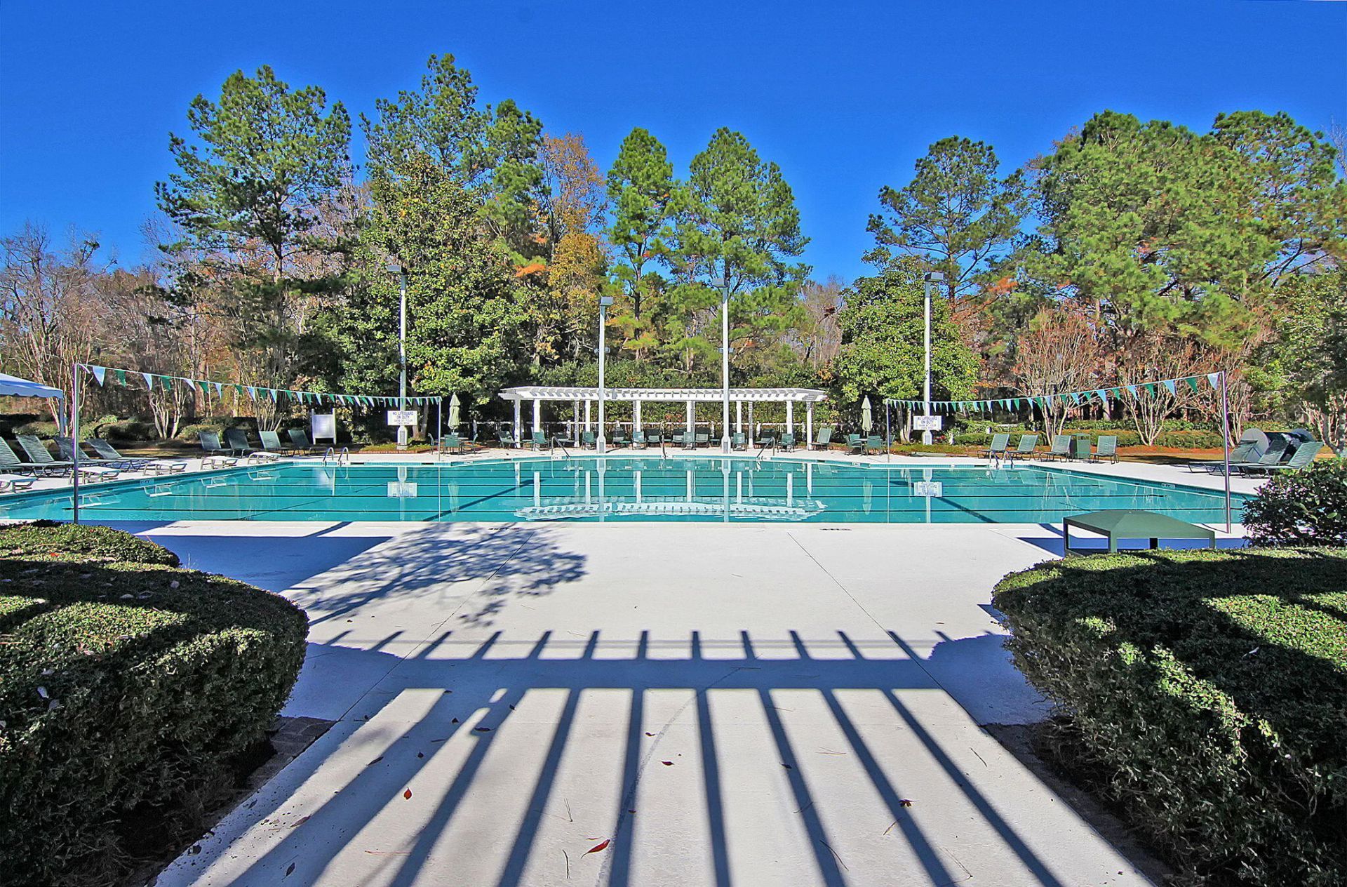 8618 Woodland Walk Photo 56