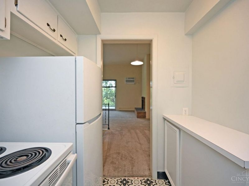 945 Parkside Place, Cincinnati, OH 45202 Photo 63