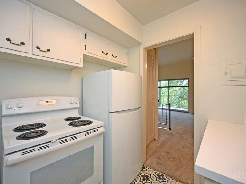 945 Parkside Place, Cincinnati, OH 45202 Photo 64