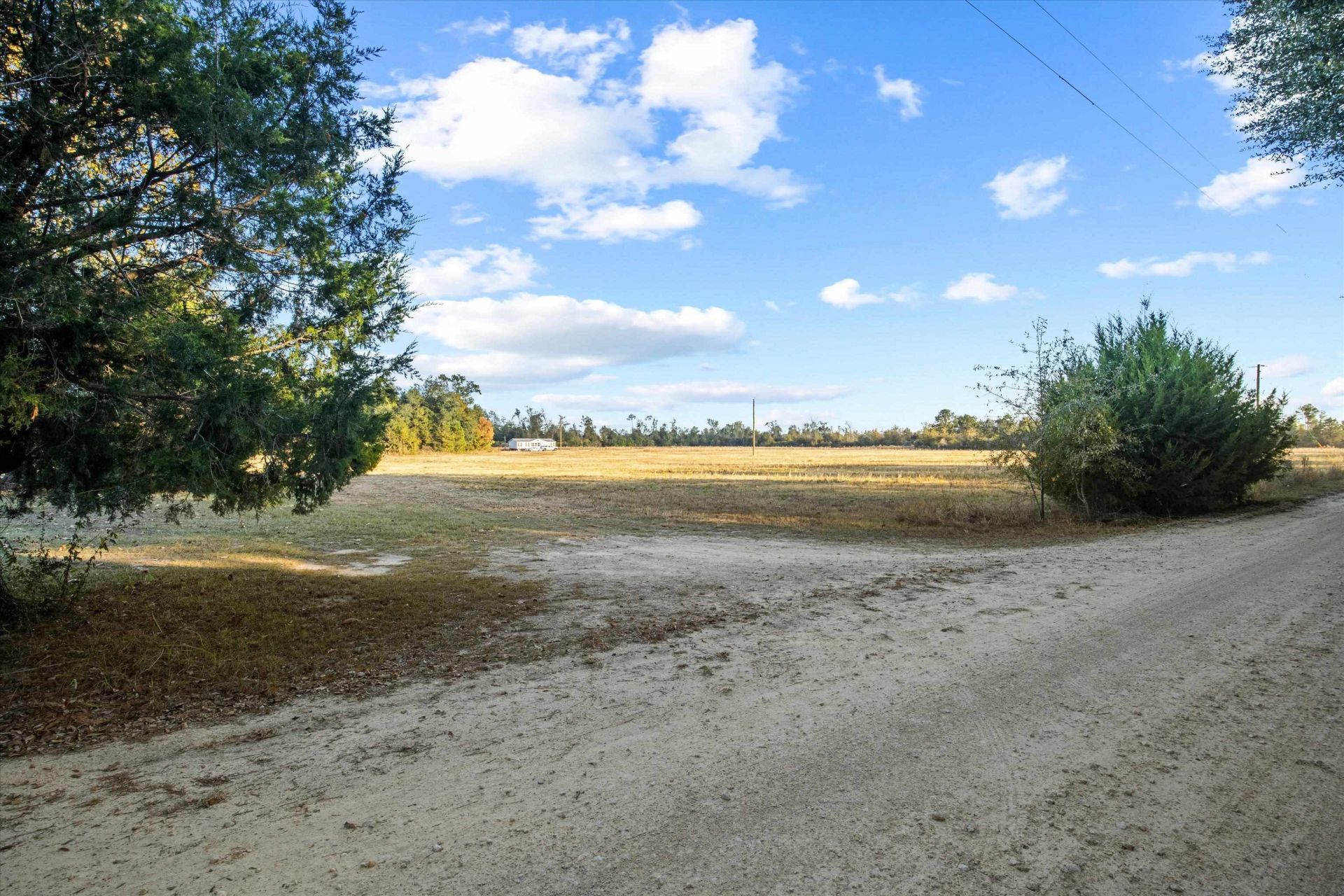 644 Treeline Road , Grand Ridge, FL 32442 Photo