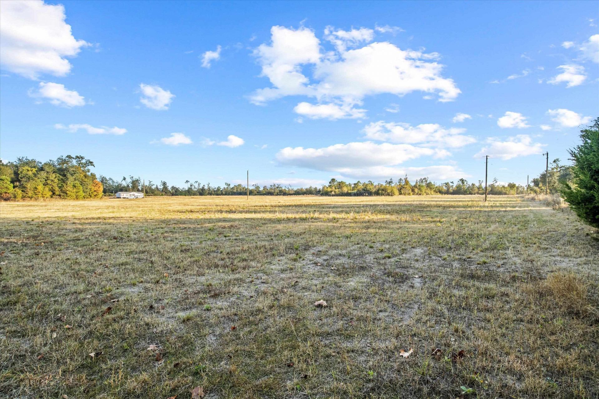 644 Treeline Road , Grand Ridge, FL 32442 Photo