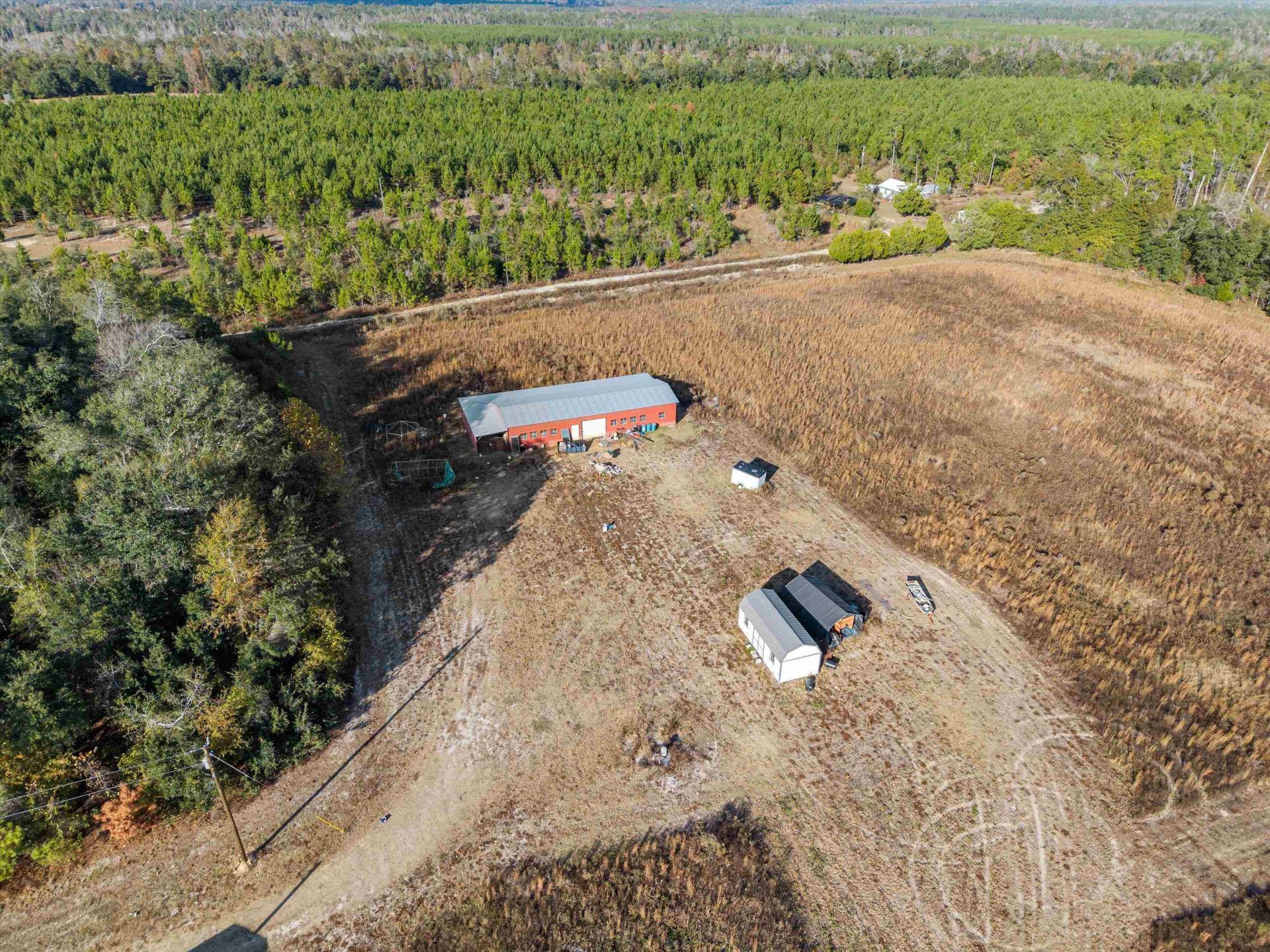 644 Treeline Road , Grand Ridge, FL 32442 Photo