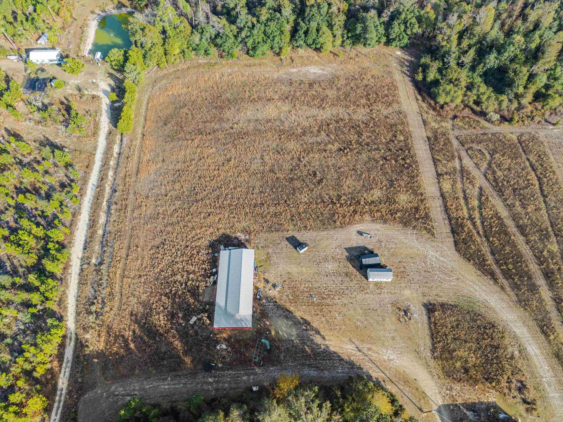 644 Treeline Road , Grand Ridge, FL 32442 Photo