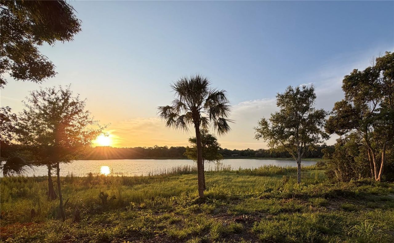 1450 Bird Road , Winter Springs, FL 32708 Photo